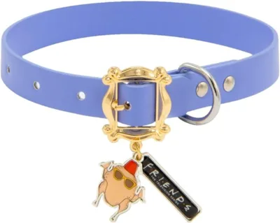 Collar De Perro Con Marco Friends Ross Chandler Rachel