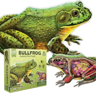 Rompecabezas Anatomía Rana Toro Doble Vista