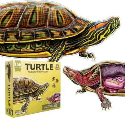 Rompecabezas Anatomía Tortuga Doble Vista
